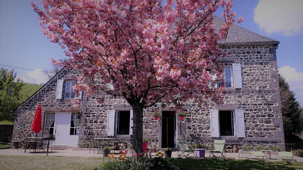 Maison D'Hotes La Nichee Rochefort-Montagne Екстериор снимка